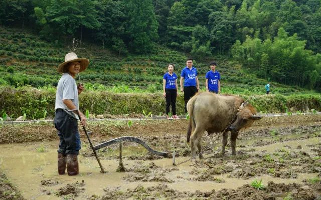 1528894096420189aYjq.jpg 蓝田稻香队访谈.jpg